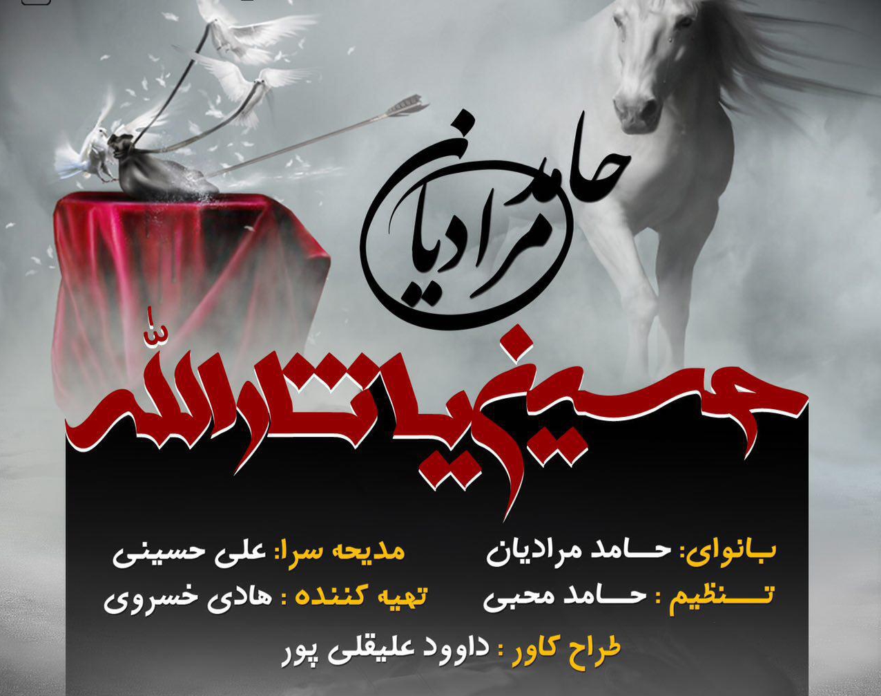 حامد مرادیان حسین یا ثارالله